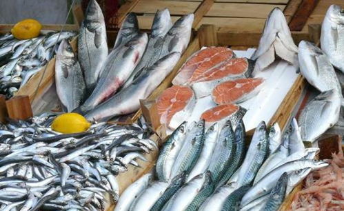 水產品 海洋與河流的饋贈