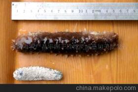 探秘滋補(bǔ)珍品 特級(jí)日本沖子參的營(yíng)養(yǎng)價(jià)值與選購指南